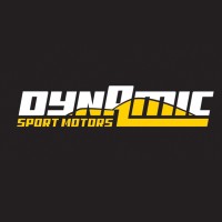 Dynamic Sport Motors logo - Similar company to Napa Autopro - Techline Motors