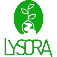 Lysora logo - Similar company to Hydroswiss Ag