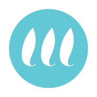 Shirkina School logo - Similar company to Hren