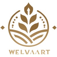 Welvaart Solutions logo - Similar company to Resper B.V.