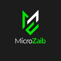 MicroZaib logo - Similar company to Maritco Solutions Pvt Ltd