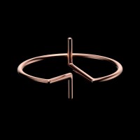 Bleximo Corp. logo - Similar company to Quantum Thought