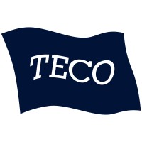 TECO Electronics logo - Similar company to Digitronics