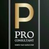M/s Pro consultant logo - Similar company to Rmtcx