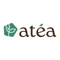 Atéa logo - Similar company to Futurhouse