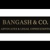Bangash & Co logo - Similar company to Neuro Sense Ai