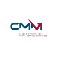 SAS CMM logo - Similar company to Alpsemi