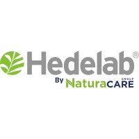 HEDELAB logo - Similar company to Hbs Codefa