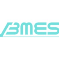 BULK MATERIAL EQUIPMENTS AND SYSTEMS logo - Similar company to Conveyortech Engineers