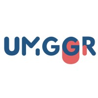 UMGGR - GHU Henri Mondor logo - Similar company to Paliped