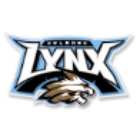 Selmore Lynx logo - Similar company to Gamesource.It