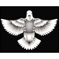 Reckless Saints Of Nowhere Inc