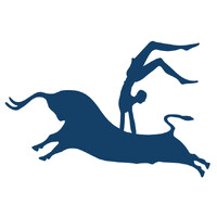 Pyrgos Software LLC logo - Similar company to Exellor