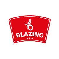 Blazing Limited logo - Similar company to Daddies