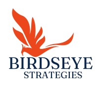 Birdseye Strategies logo - Similar company to Native American Capital And Investment Alliance 