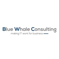 Blue Whale Consulting logo - Similar company to Sas2Py