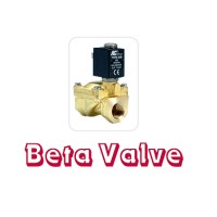 Beta Valve Systems Ltd logo - Similar company to Steven Willand Inc