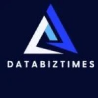 Databiz Times logo - Similar company to Databiz