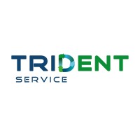 Trident Service logo - Similar company to Trident Services Inc.