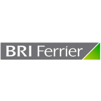BRI Ferrier logo - Similar company to Pickles Mining