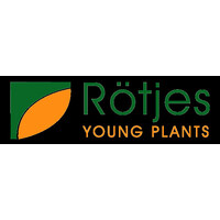 Rötjes Young Plants logo - Similar company to Faassen Plants