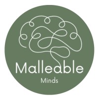 Malleable Minds logo - Similar company to Gopassport