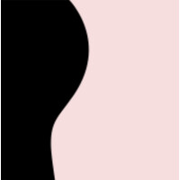 The Woman’s Health Pavilion logo - Similar company to Educational Consultancy