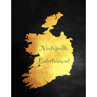 Nantosuelta Entertainment logo - Similar company to Avina Media