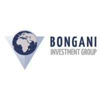 Bongani Investment Group logo - Similar company to Easygo Holiday Homes
