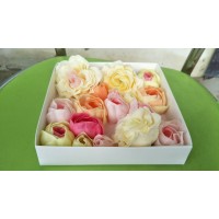 Paper soap manufacturers logo - Similar company to Bd Hygiene