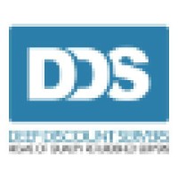 Deep Discount Servers logo - Similar company to Keystone Technology Management