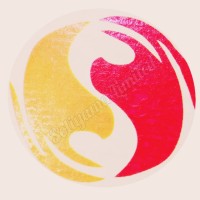 Soliyama Limited logo - Similar company to Myappang