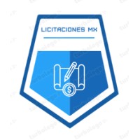 Licitaciones Mx logo - Similar company to Irve Licitaciones