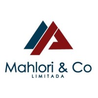 MAHLORI & CO, LDA logo - Similar company to Micomoc