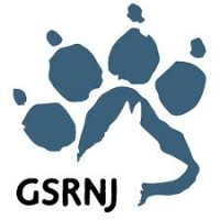 German Shepherd Rescue Of New Jersey Inc
