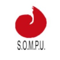 Sociedad de Oncología Médica y Pediátrica del Uruguay logo - email format related to LANYSC