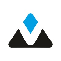 Vemun Business Solutions logo - Similar company to Intact Infinity