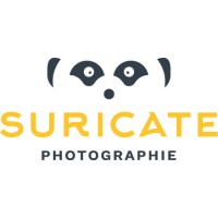 Suricate Photographie logo - Similar company to Association Musicothérapie Besançon
