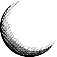Crescent Crypto Asset Management logo - Similar company to Perceptive Capital