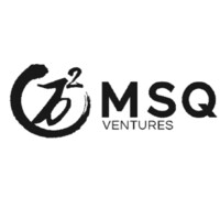 MSQ Ventures logo - Similar company to Msg Ventures