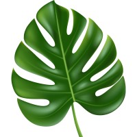 Universal Additives logo - Similar company to Spectrum Ethers Pvt. Limited