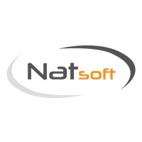 Natsoft logo - Similar company to V-Soft Digital