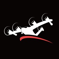 InnoFlyt logo - Similar company to Godo Uav