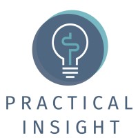 Practical Insight logo - Similar company to Soul Lab