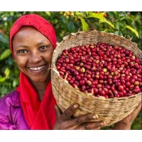 Aayyoo Coffee logo - Similar company to Adyab Import And Export