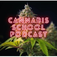 Cannabis School Podcast