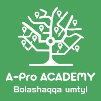 A-Pro Academy logo - Similar company to A-Pro Solutions