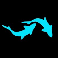 Blue Ocean Aquarium International PVT LTD logo - Similar company to Bleupool Grimaud