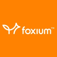 Foxium logo - Similar company to Neon Valley Studios