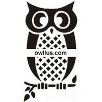 owllus logo - Similar company to Pgurus.Com